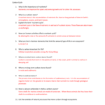 Carbon Cycle Answers Also Carbon Cycle Worksheet Answers