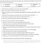 Carbon Cycle Worksheet Answer Key  Briefencounters Also Carbon Cycle Worksheet Answers