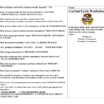 Carbon Cycle Worksheet As Well As Carbon Cycle Worksheet Answers