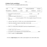 Carbon Cycle Worksheet For The Carbon Cycle Worksheet Answers