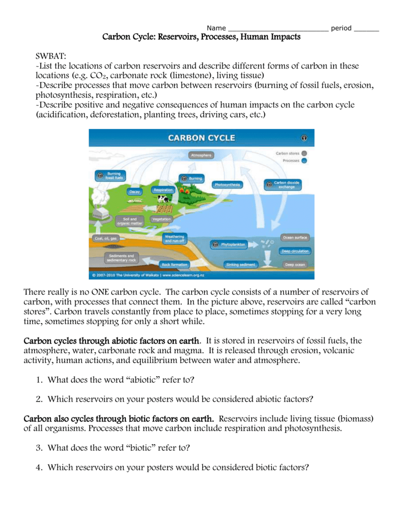 Carbon Cycle Worksheet Together With Carbon Cycle Worksheet