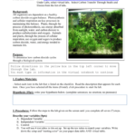 Carbon Transfer Through Snails And Elodea  Virtual Lab Also Carbon Transfer Through Snails And Elodea Worksheet Answers