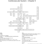 Cardiovascular System Crossword  Wordmint And Chapter 11 The Cardiovascular System Worksheet Answer Key