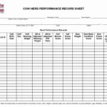 Cattle Record Keeping Adsheet Tracking For Cow Calf Forms Free Sheet ... As Well As Excel Spreadsheet For Cattle Records