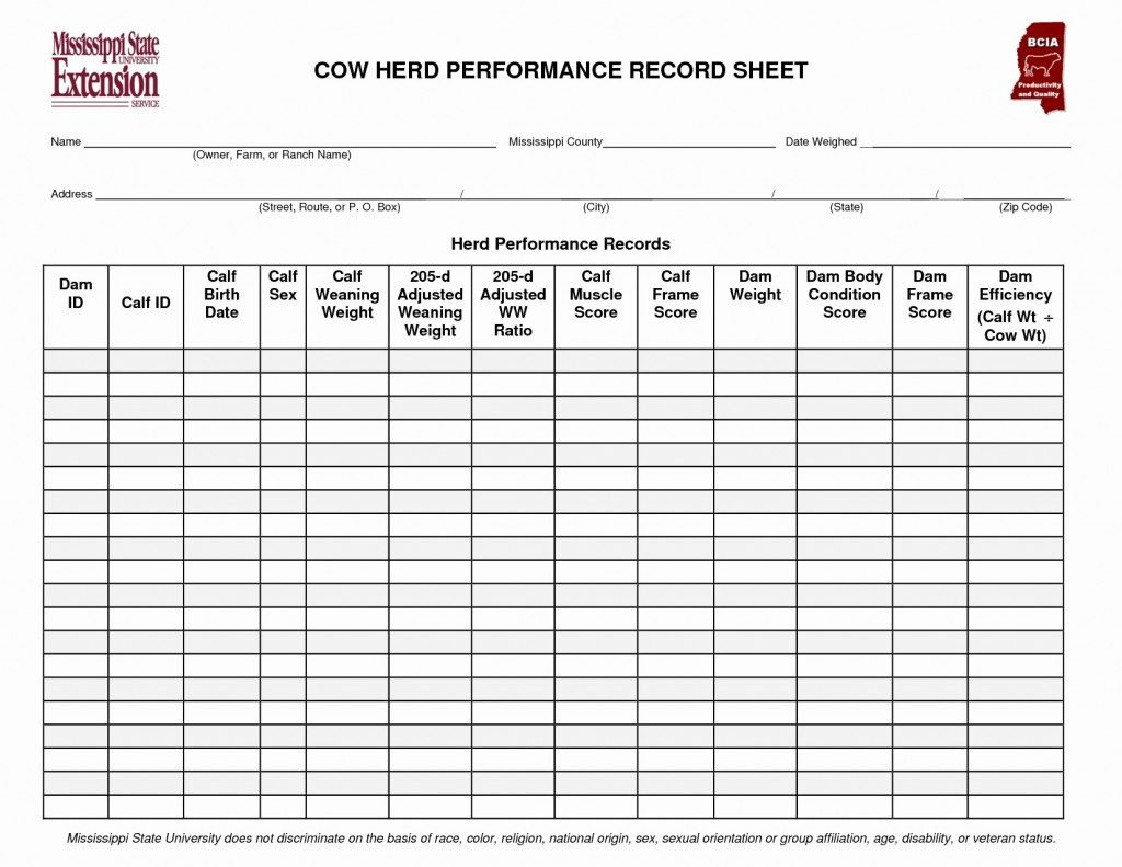 Cattle Record Keeping Adsheet Tracking For Cow Calf Forms Free Sheet ... As Well As Excel Spreadsheet For Cattle Records