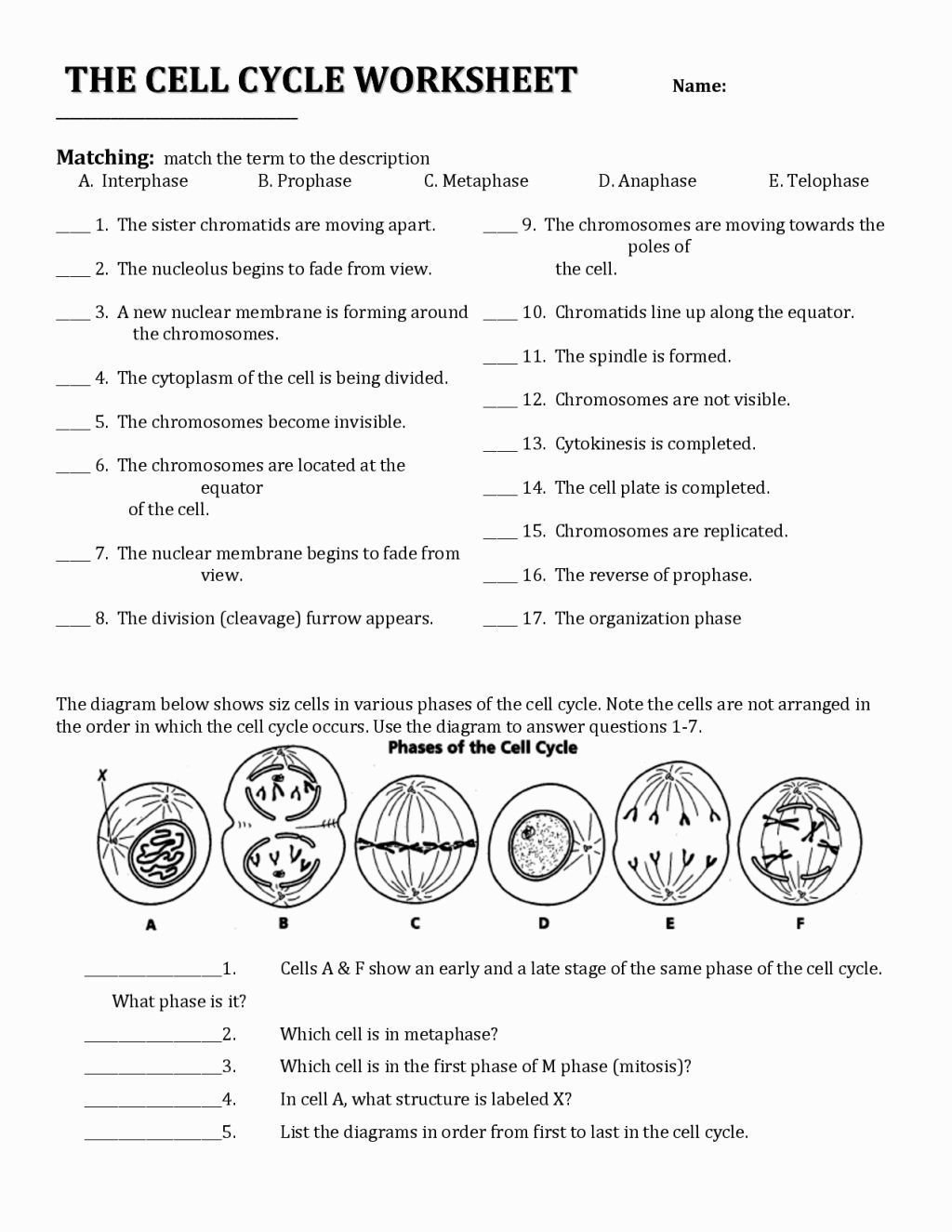 Cell Activity Worksheet  Briefencounters Regarding Cell Activity Worksheet