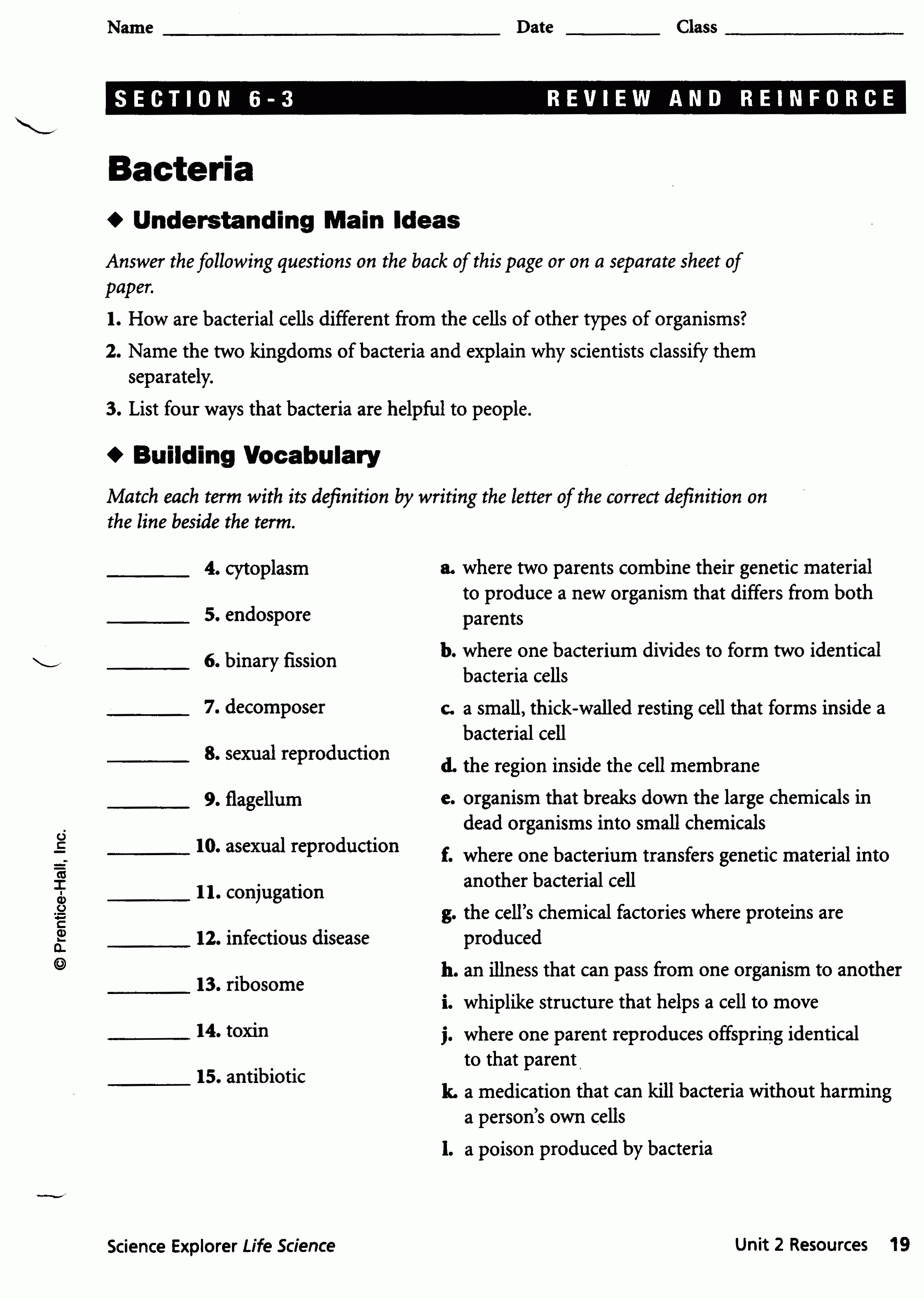 Cell Biology Worksheets Middle School  Justswimfl Pertaining To Infectious Disease Worksheet Middle School