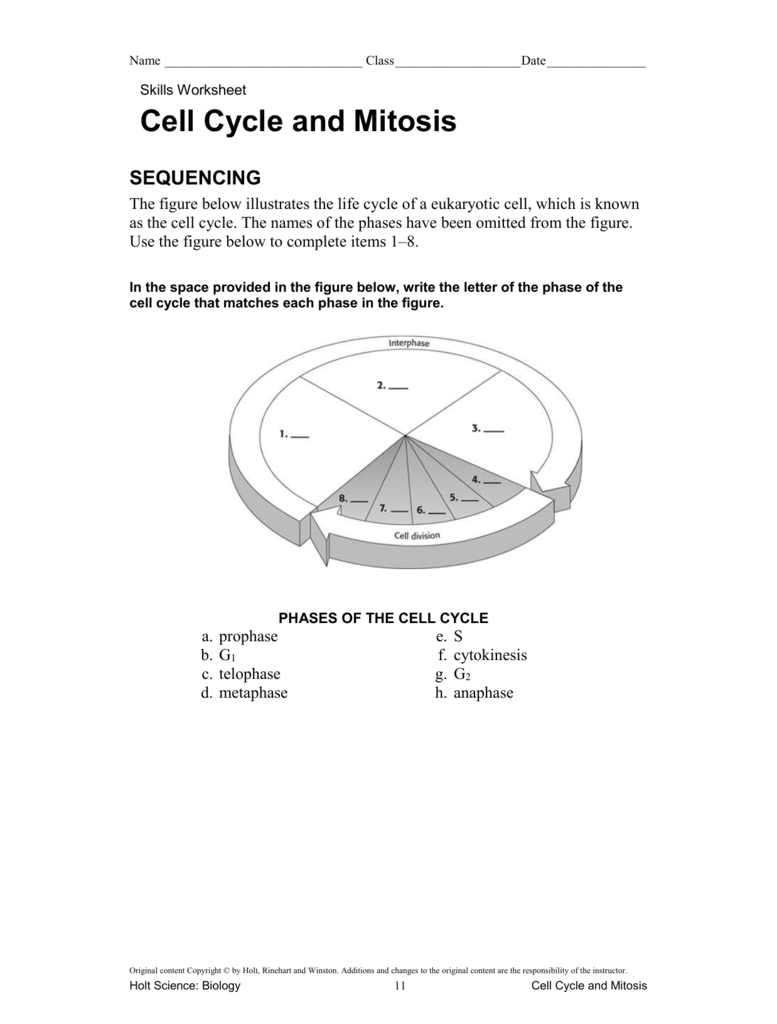 Cell Cycle And Mitosis Sequencing For Cell Cycle And Mitosis Worksheet