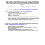 Cell Cycle Cell Reproduction Mitosis Computer Lab Along With Cells Alive Cell Cycle Worksheet Answers