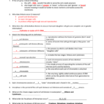 Cell Division Test Review Key 2011 With Cell Division And Mitosis Worksheet Answer Key