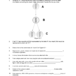 Cell Division Worksheet Pdf Within Cell Division Worksheet Answers