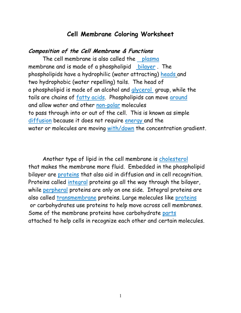 Cell Membrane Answer Key Along With Cell Membrane Coloring Worksheet