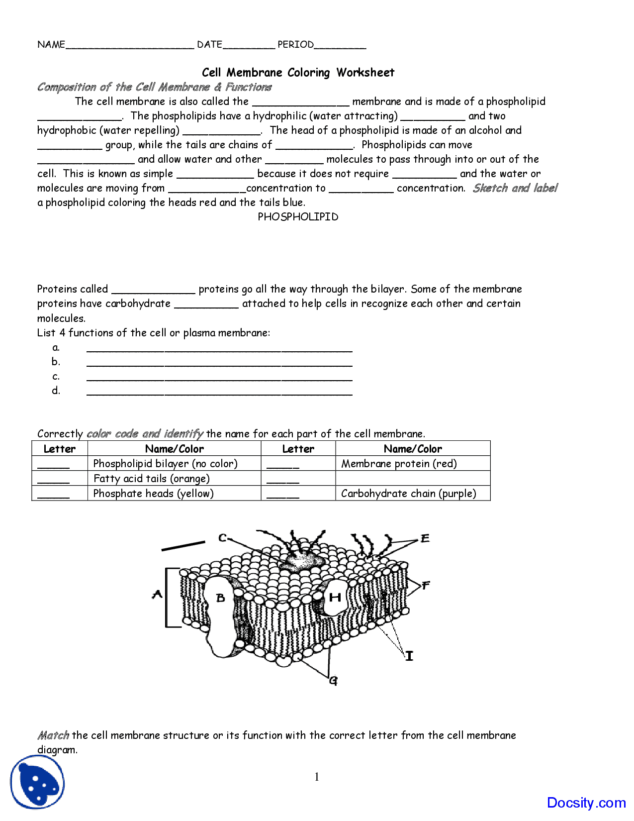 Cell Membrane Coloring  Application Of Biology  Assignment  Docsity And Cell Membrane Worksheet
