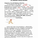 Cell Membrane Coloring Worksheet Answers  Briefencounters Together With Cell Membrane Coloring Worksheet Answers