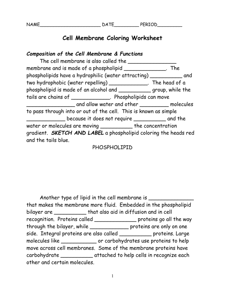 Cell Membrane Coloring Worksheet Composition Of The Cell As Well As Cell Membrane Coloring Worksheet