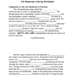 Cell Membrane Coloring Worksheet Composition Of The Cell In Cell Membrane Coloring Worksheet Answer Key