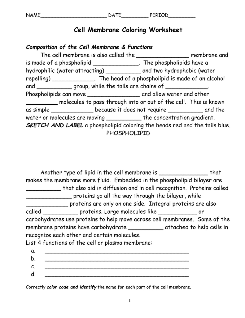 Cell Membrane Coloring Worksheet Intended For Cell Membrane Coloring Worksheet Answer Key