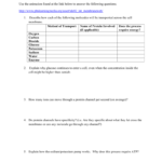 Cell Membrane Just Passing Through Worksheet Pertaining To Transport Across Membranes Worksheet Answers
