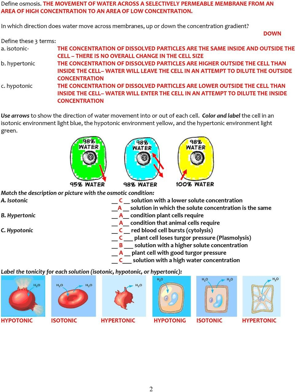 Cell Membrane  Tonicity Worksheet  Pdf Throughout Cell Membrane And Tonicity Worksheet