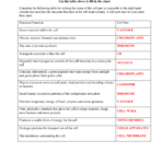Cell Organelle Homeworkdoc Cell Organelles Worksheet Pertaining To Cell Parts And Functions Worksheet Answers