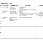 Cell Organelles Table Worksheet In Cells And Organelles Worksheet