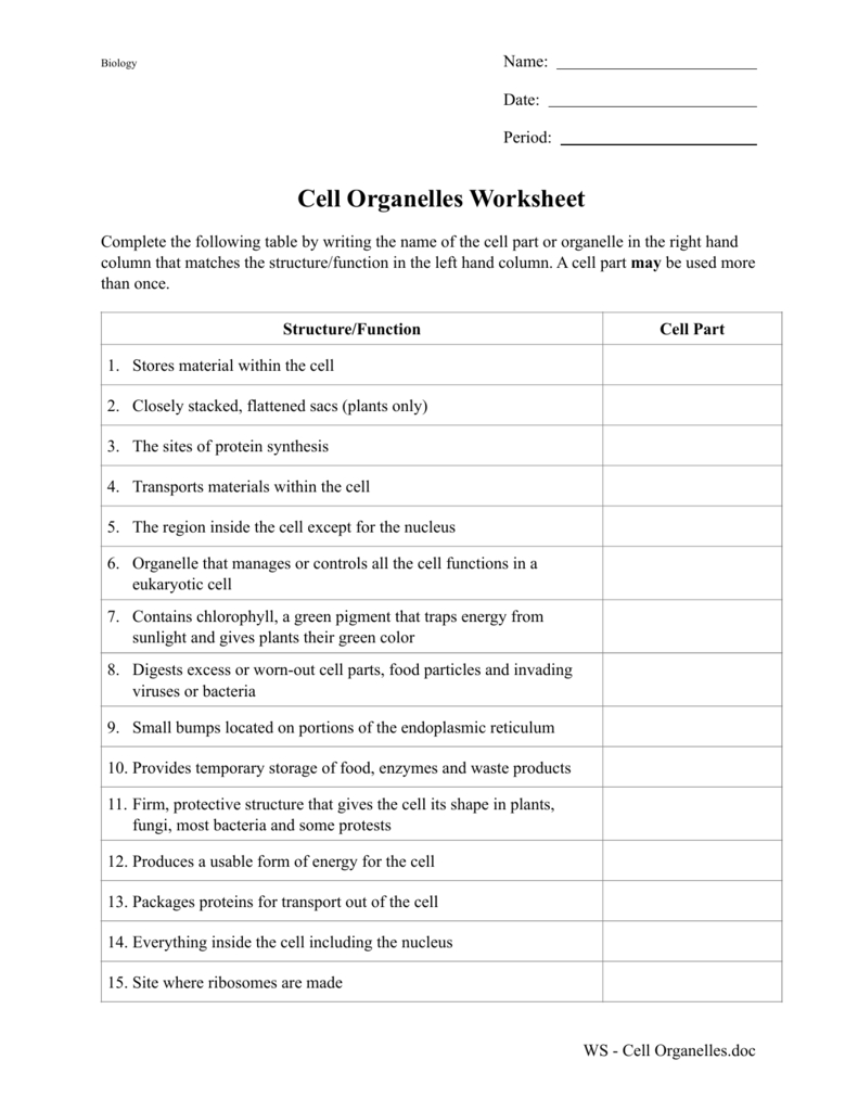 Cell Organelles Worksheet 2 Or Cell Organelles Worksheet