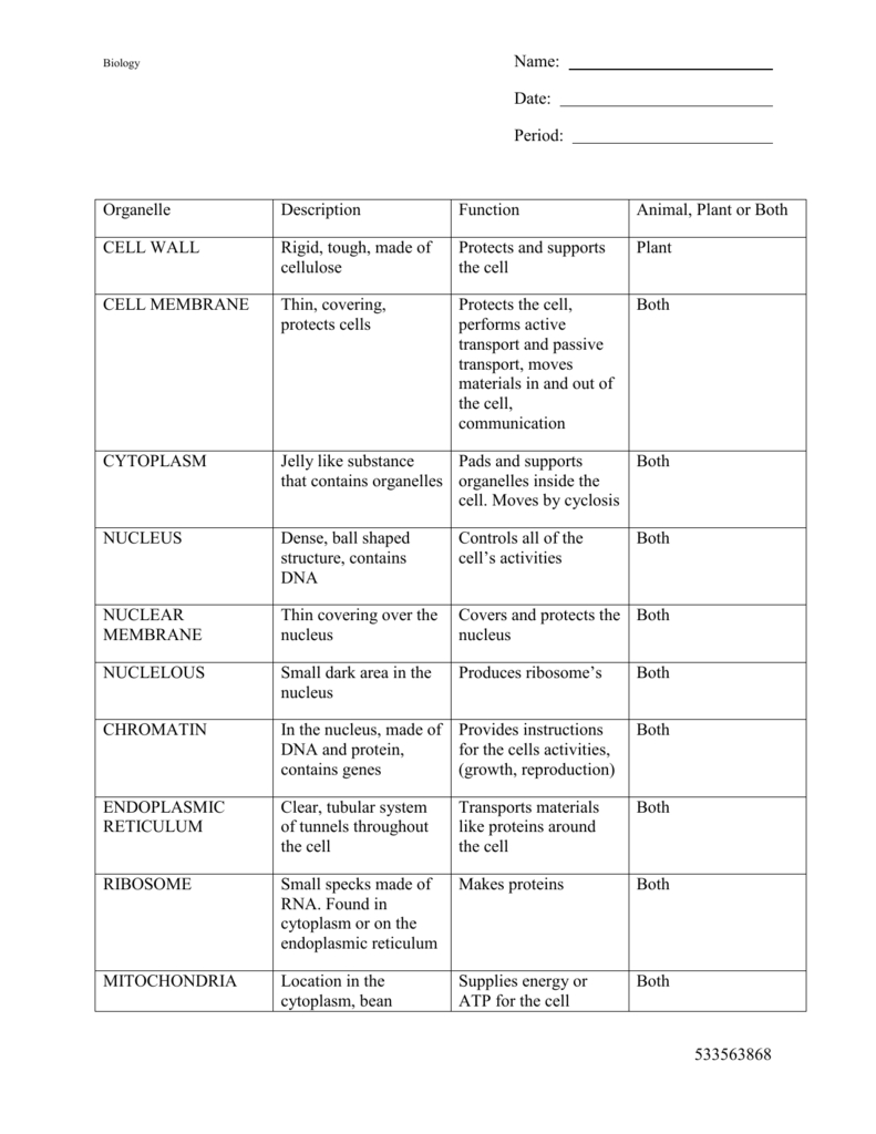 Cell Organelles Worksheet Along With Cells And Organelles Worksheet