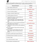 Cell Organelles Worksheet – Wiring Diagram Intended For Cell Organelles And Their Functions Worksheet Answers