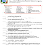 Cell Organelles Worksheet – Wiring Diagram Throughout Cell Parts And Functions Worksheet Answers