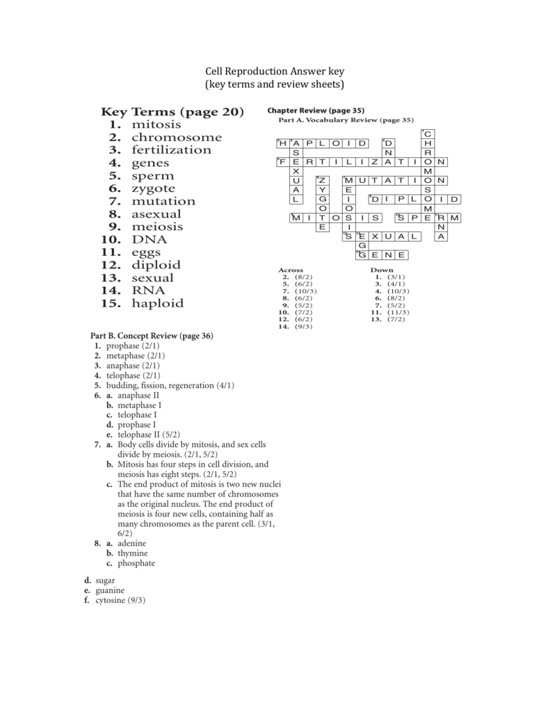 Cell Reproduction Answer Key In Cell Reproduction Worksheet Answers