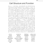 Cell Structure And Function Word Search  Wordmint Along With Cell Structure And Function Worksheet Answer Key