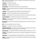 Cell Theory Cell Structure And Function Vocabulary Also Cell Structure And Processes Worksheet Answers