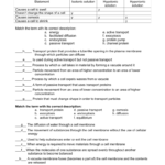 Cell Transport Review Answers Pertaining To Cell Transport Worksheet Biology Answers
