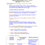 Cell Transport Review Sheet Answers With 7 3 Cell Transport Worksheet Answers