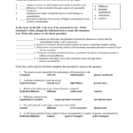 Cell Transport Review Within Cell Transport Review Worksheet