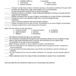 Cell Transport Review Worksheet In Cell Transport Worksheet Biology Answers