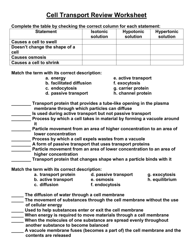 Cell Transport Review Worksheet Pertaining To Cell Transport Review Worksheet Answers