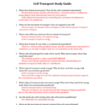 Cell Transport Study Guide Answers Also Cell Transport Worksheet Answers