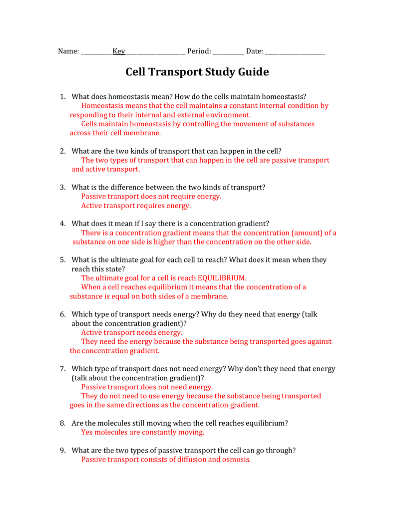 Cell Transport Study Guide Answers Inside Cell Transport Worksheet Answer Key