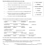 Cell Transport Worksheet For Cell Transport Review Worksheet Answers