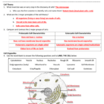 Cell Unit Review Worksheet  Part I  Key With Regard To Cell Review Worksheet
