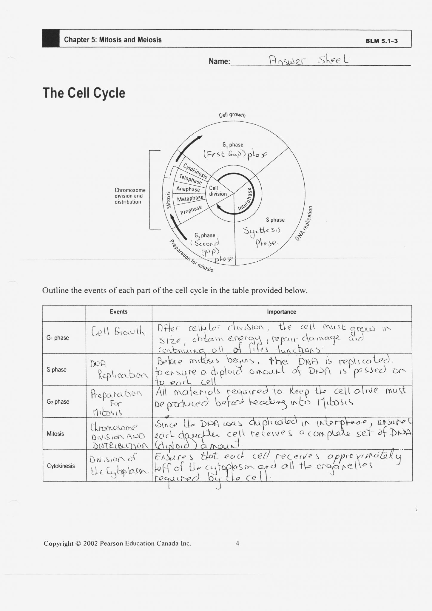 Cells Alive Cell Cycle Worksheet Answer Key  Briefencounters And Cells Alive Cell Cycle Worksheet