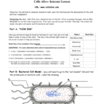 Cells Alive  The Biology Corner Pertaining To Cells Alive Plant Cell Worksheet Answer Key