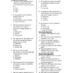 Cells Of The Immune System Student Worksheet  Briefencounters And Cells Of The Immune System Student Worksheet Answers