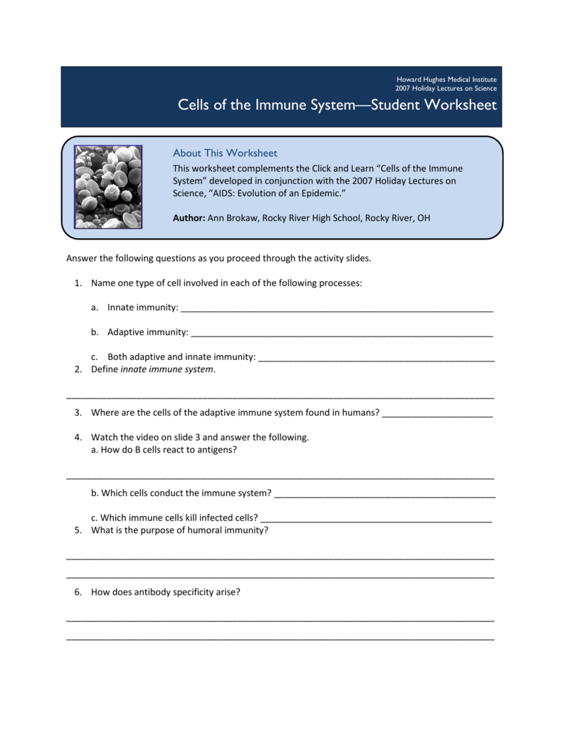 Cells Of The Immune System—Student Worksheet Pertaining To Cells Of The Immune System Student Worksheet Answers