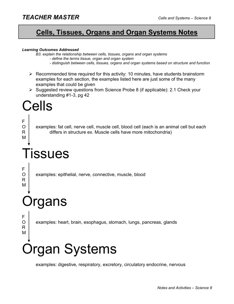 Cells Tissues Organs And Organ Systems Notes Within Cells Tissues Organs Organ Systems Worksheet