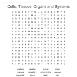 Cells Tissues Organs And Systems Word Search  Wordmint Pertaining To Cells Tissues Organs Organ Systems Worksheet