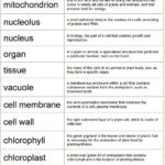 Cells Vocabulary List  Definitions  Pdf Throughout Cells Vocabulary Quiz Worksheet Answers