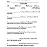 Cells Vocabulary Part 1 Name Word Bank Cell Cell Theory Inside Cells Vocabulary Quiz Worksheet Answers