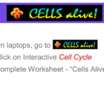 Cellular Reproduction  Ppt Video Online Download With Regard To Cells Alive Cell Cycle Worksheet